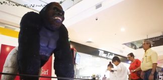 Mallplaza exhibición de animales en peligro de extinción