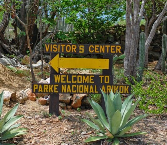 El Caminar Por Aruba