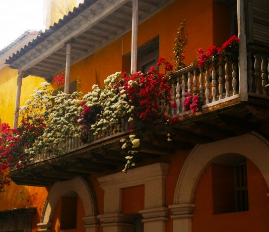 Cartagena de Indias una ciudad de balcones Balcones-de-Cartagena