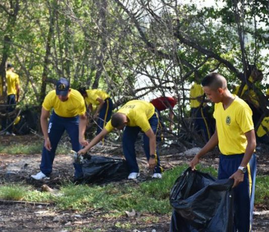 Liberan ecosistema de manglar de cientos de residuos sólidos en Manzanillo, Cartagena Jornada de limieza en manzanillo-cartagena