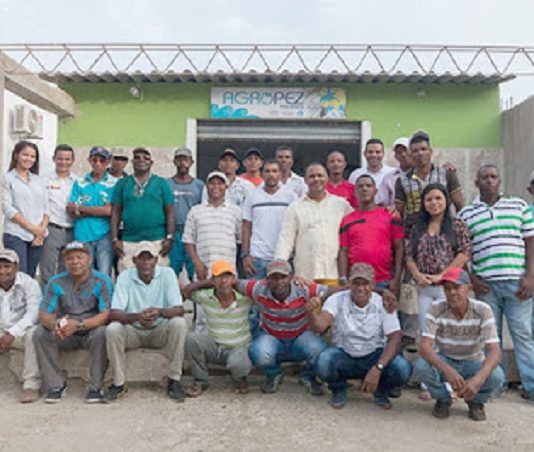 Con paneles solares, pescadores de Pasacaballos buscan sostenibilidad Paneles solares para ayudar a pescadores