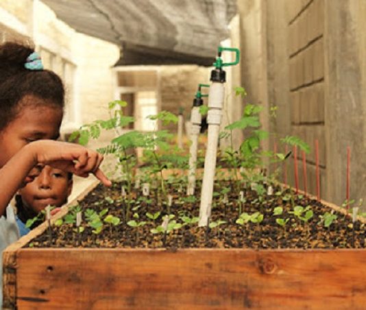 Dos colegios oficiales instalan viveros como estrategia de adaptación al cambio climático en sus PRAES Viveros en Colegios de Cartagena