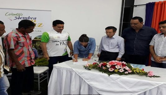 Gobernación de Bolívar suscribe alianza por 1,2 millones de dólares para la exportación de ñame