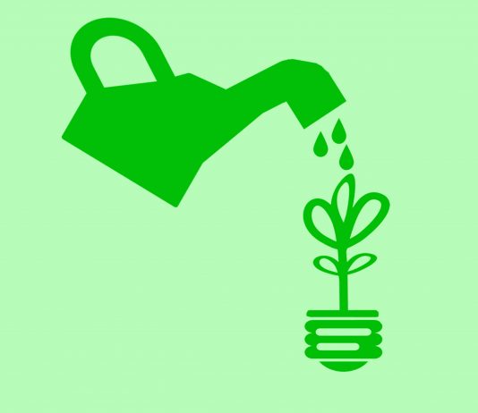 Seis formas de ahorrar agua en el cuidado del jardín