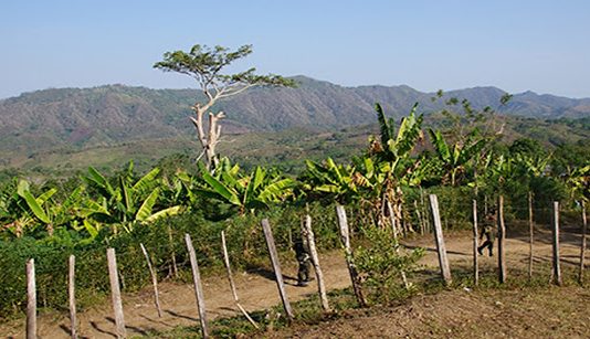 Familias de los Montes de María en Bolívar, recuperaron más de 300 hectáreas de tierra