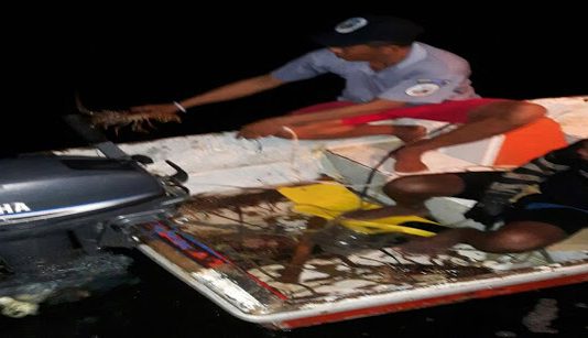 Armada Nacional incauta pesca ilegal en isla Tesoro