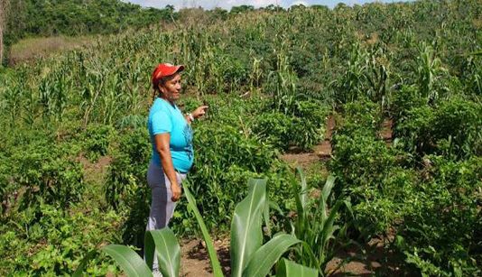 Restituyen tierras a familia campesina del corregimiento de El Salado