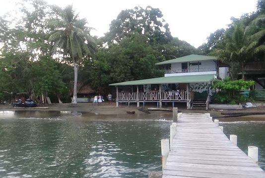 Armada aclara que durante operativo contra clan golfo no hubo capturas de miembros de la marina