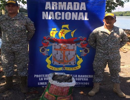 Incautado pescado contaminado con metales pesados en Santander