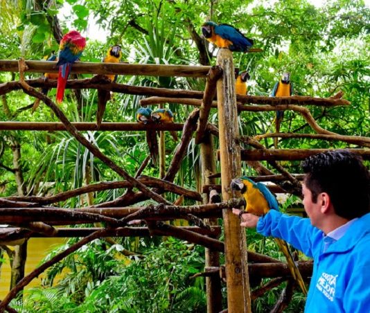 Alcaldía de Bogota entrega 30 animales rescatados del trafico ilegal al Puerto de Cartagena