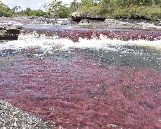 MinComercio inicia construcción de sendero EcoTuristico a Caño Cristales