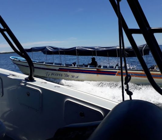 Piloto abandona motonave a máxima velocidad con dirección a sector de bañistas durante persecución