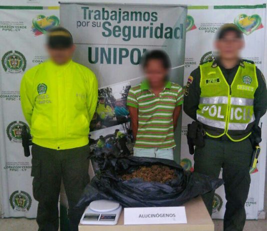 Incautan 7.000 dosis de marihuana y capturan a alias “La chacha” en operativo contra expendios de estupefacientes