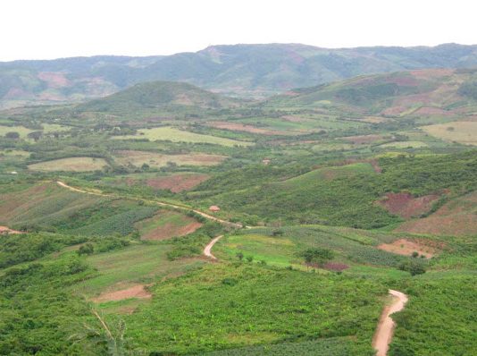 “Campesinos de Los Montes de María necesitan acompañamiento comercial, mercadeo adecuado…”: senador Araújo