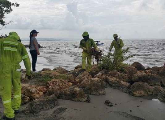 Programa “Mi Playa Limpia” llegó a Castillogrande