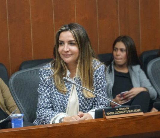 Radican proyecto de ley que busca proteger a mujeres en estado de embarazo