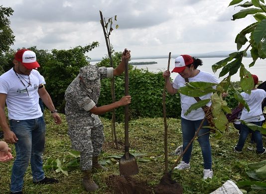1500 arboles se sembraron en la ciudad gracias a la Siembraton Cartagena