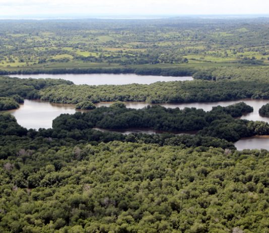 La “Depresión Momposina”, en Bolívar, podrá acceder a restitución de tierras