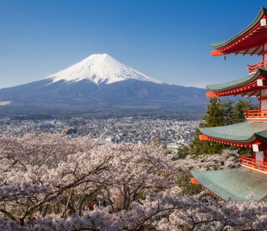 Colombianos podrán aplicar a becas de la Fundación Amgen para estudiar en Japón