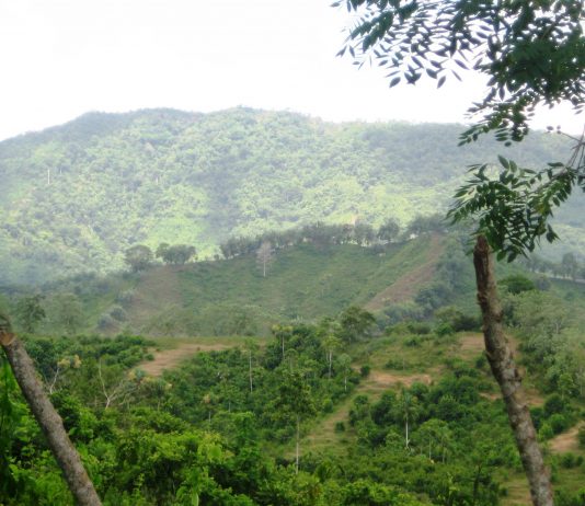 Hallan inscripciones indígenas en piedras de los Montes de María, Bolívar