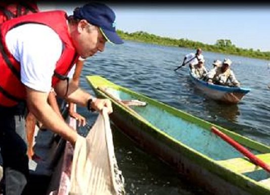 Aguas de Cartagena realizo jornada de repoblamiento piscícola en la ciénaga de Juan Gomez, en Rocha