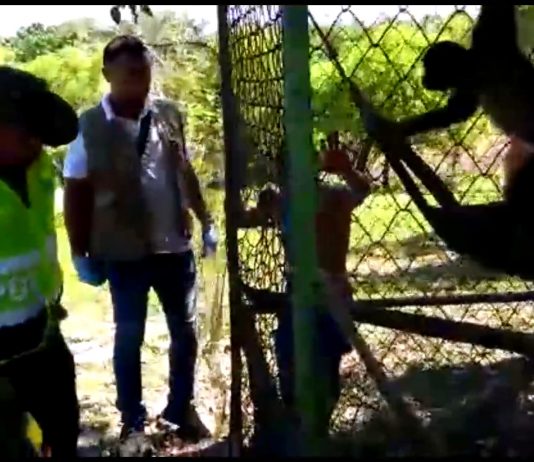 En Operativos contra el trafico de animales en Bolívar se rescataron mas de 600 animales