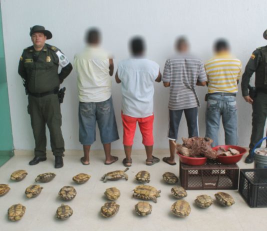 Capturadas cuatro personas por comercialización ilegal de especies en vía de extinción en Cartagena