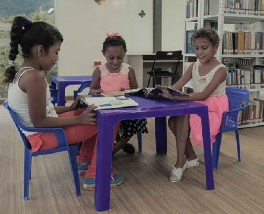 Doce millones de colombianos visitaron las bibliotecas del país en 2017
