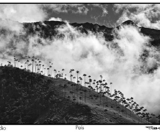 El Ministerio de Cultura premiará a los fotógrafos colombianos