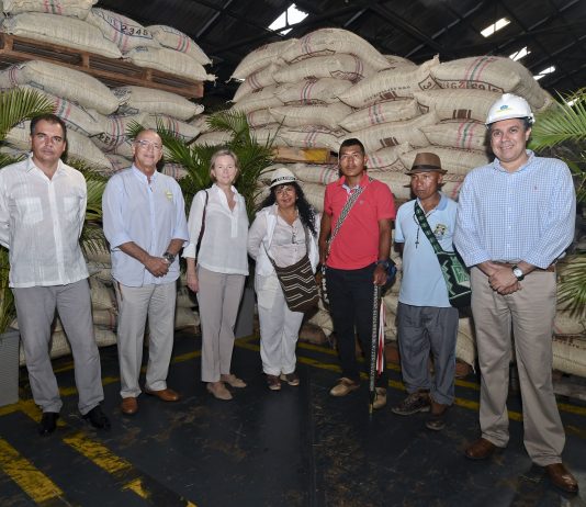 Indígenas del Cauca exportarán café a Alemania y Australia