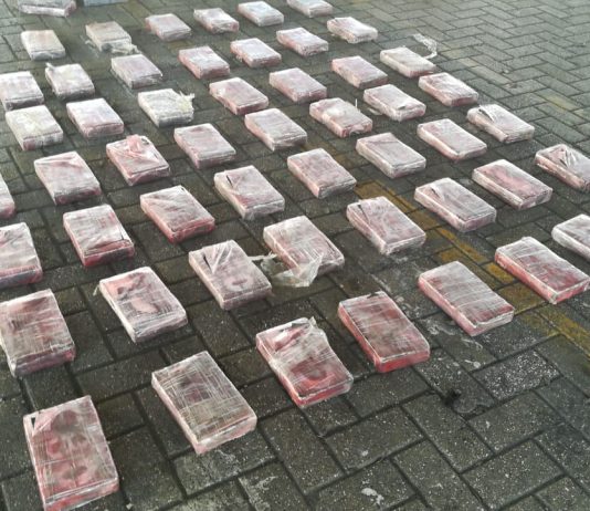 Perros antidrogas detectan cargamento de cocaina en Puerto de Cartagena