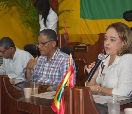 Distrito invierte $399 millones en la Institución educativa Fernández Baena Claudia-Almeida-Castillo-consejo