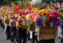 Colombia será sede del Primer Foro Internacional sobre Patrimonio Cultural Inmaterial en Contextos Urbanos Foro-Patrimonio-inmaterial-Colombia-Unesco