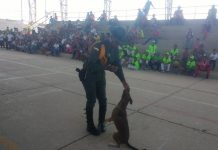 Policía de Cartagena realizo operativos de seguridad en Santa Rosa Policía-de-Cartagena-Santa-Rosa