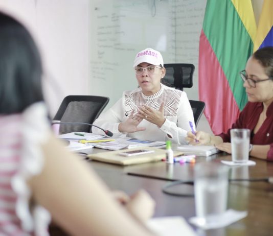 “No vamos a permitir que bandidos dañen a Cartagena como destino turístico sostenible”: Yolanda Wong Yolanda-Wong-baldiris-Consejo-de-Riesgo