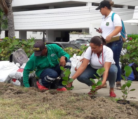 Campaña de cultura ambiental en Castillogrande Cultura-ambiental-castillogrande