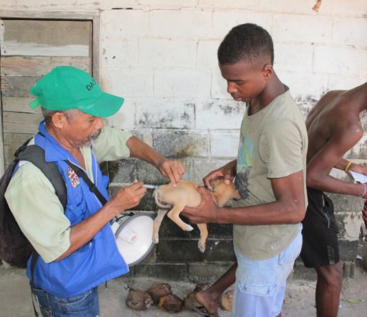Dadis adelantó jornada de vacunación de caninos y felinos en Isla Grande Dadis vacunacion a animales