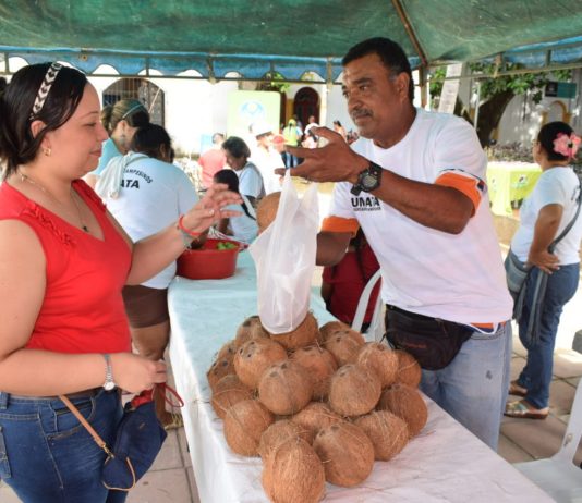 Así fue el primer Mercado Campesino del 2018 en Arjona Mercado-Campesino-Arjona-Bolivar