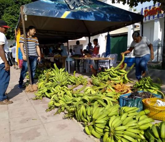 Regresan los mercados campesinos a Arjona Regresan los mercados campesinos a Arjona, Bolívar