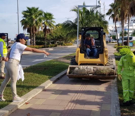 Con operativos de aseo Cartagena conmemora Día Mundial de la Limpieza Dia Mundial de la Limpieza