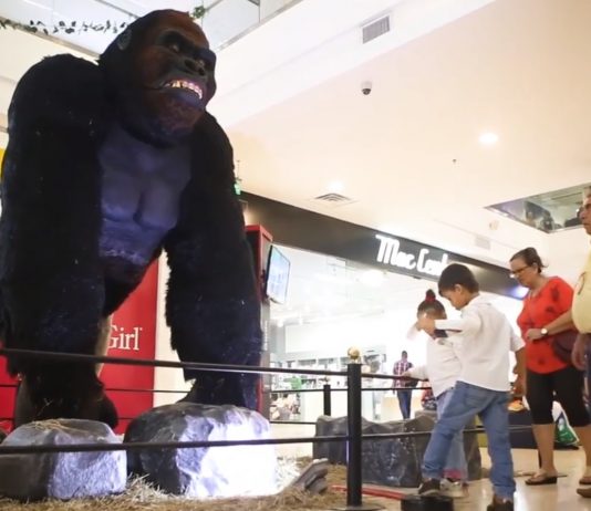 Mallplaza presenta hasta el 30 de octubre, la campaña de Animales en peligro de Extinción Mallplaza exhibición de animales en peligro de extinción