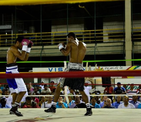 IDER y Alcaldía activan el Boxeo profesional en Cartagena Boxeo profesional en cartagena
