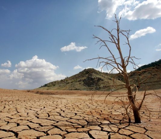Debemos estar preparados ante posible temporada de sequía en gran parte del país Temporada de Sequía