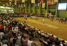 Del 18 al 21 de Octubre, llega Agroexpo Caribe 2018 a Barranquilla Agroexpo Caribe 2018