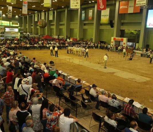 Del 18 al 21 de Octubre, llega Agroexpo Caribe 2018 a Barranquilla Agroexpo Caribe 2018