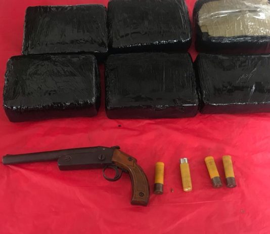 Capturan dos jibaros en cartagena con tres kilos de marihuana en su poder dos jibaros capturados en el barrio las gaviotas de cartagena